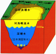 富山湾の水塊構造