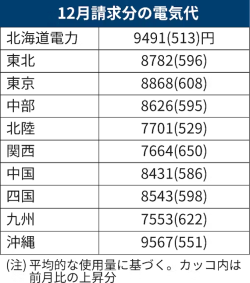 12月請求分の電気代（画像）