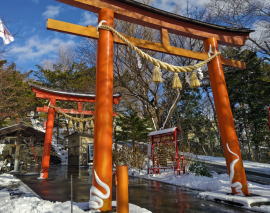 蛇田神社（写真）