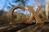 ＧＸ（画像）